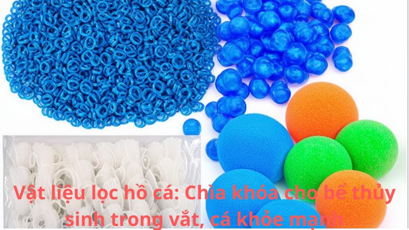 Vật liệu lọc hồ cá: Chìa khóa cho bể thủy sinh trong vắt, cá khỏe mạnh